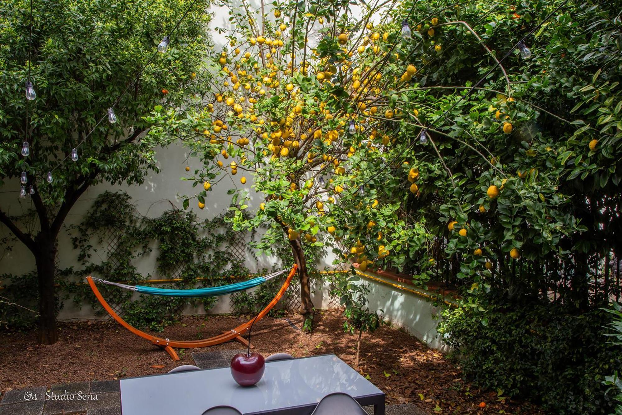ماريليانو Utopia Bed & Breakfast المظهر الخارجي الصورة